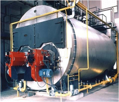 Паровой котел  HS 1000